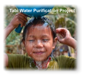 Tabi Water Purification Project